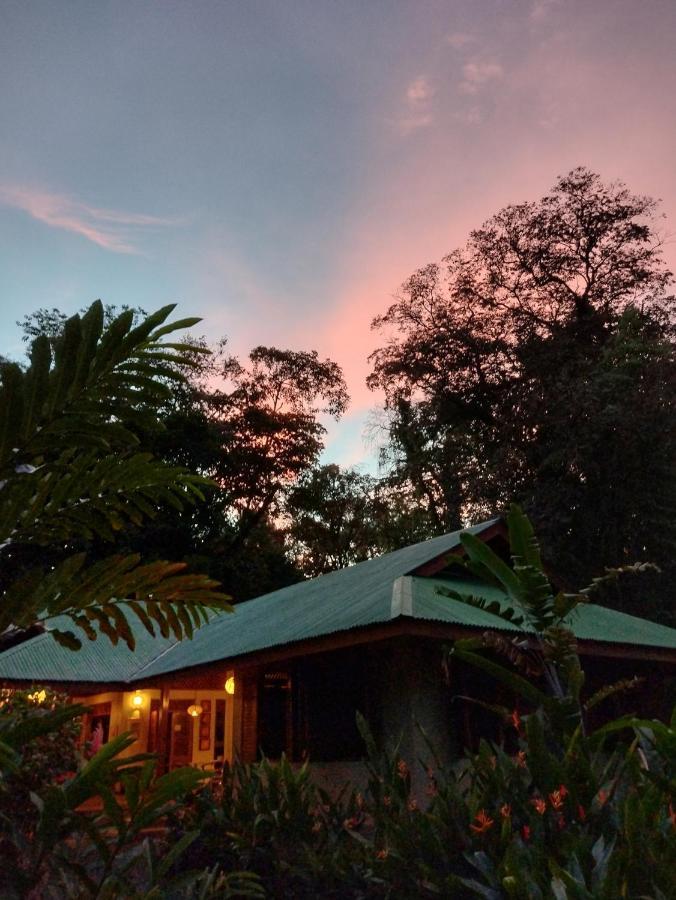 Geckoes Lodge Cocles Exterior photo