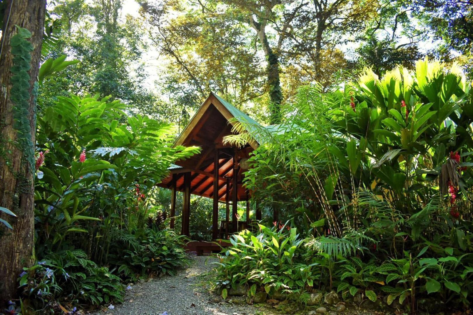 Geckoes Lodge Cocles Exterior photo