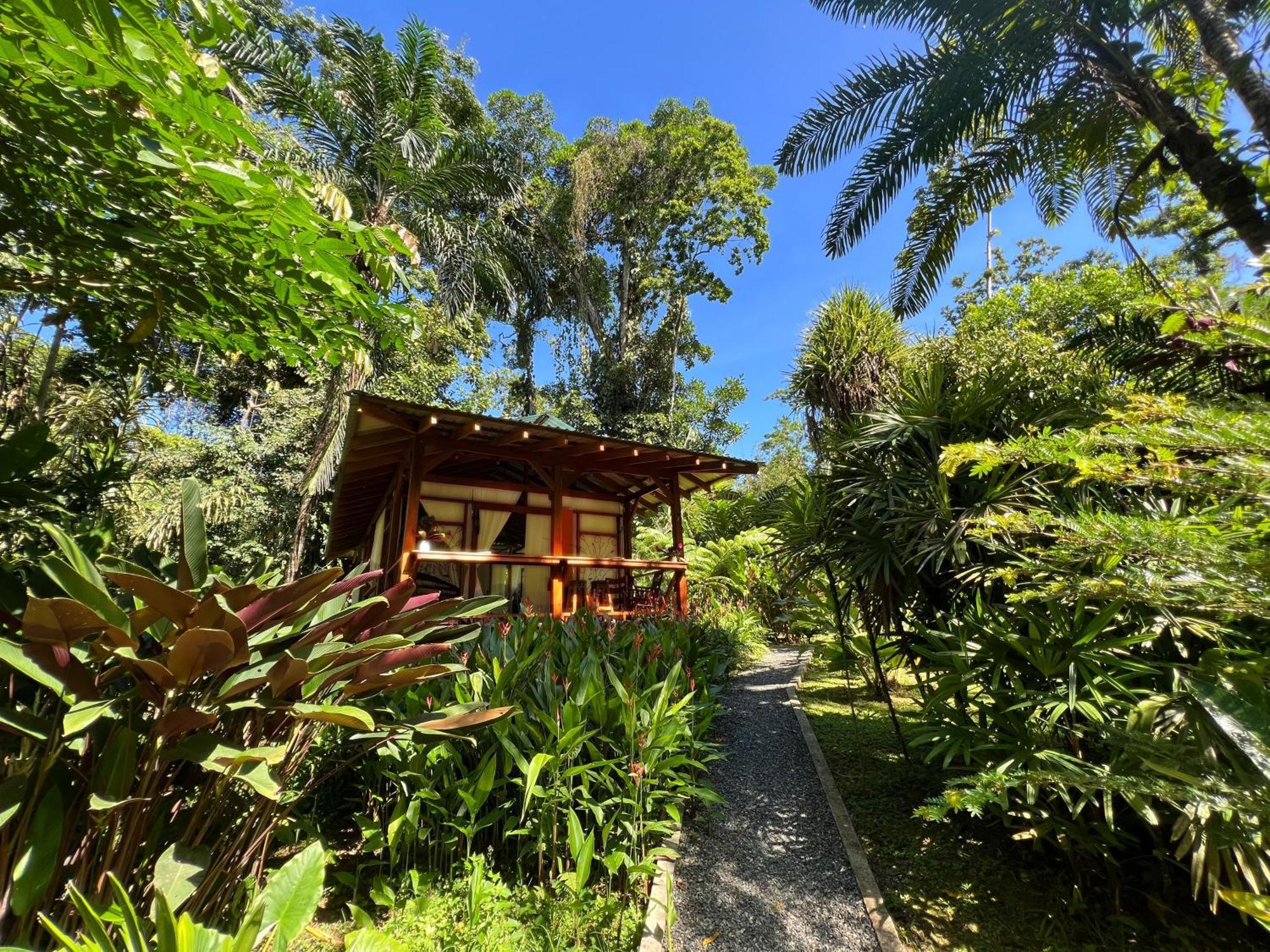 Geckoes Lodge Cocles Exterior photo