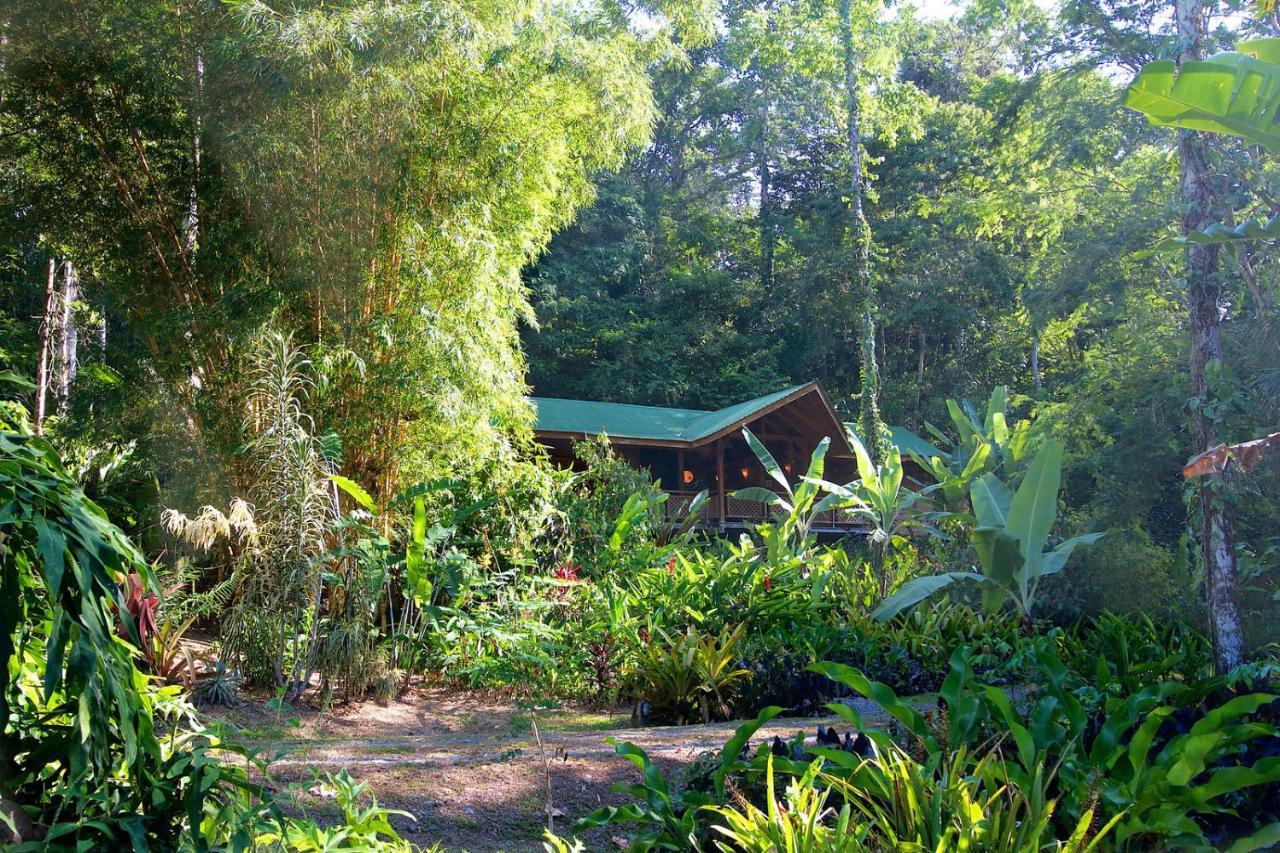 Geckoes Lodge Cocles Exterior photo